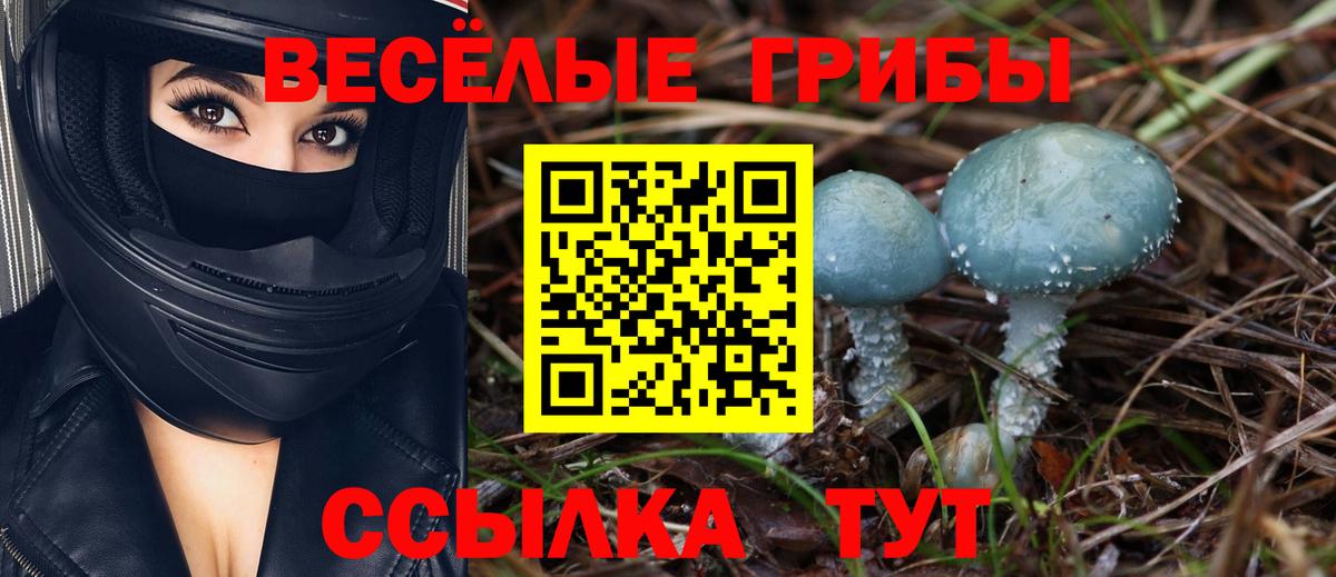 Псилоцибиновые грибы Psilocybine cubensis  Галлюциногенные грибы GOLDEN TEACHER  Вход с VPN  Большой Камень 