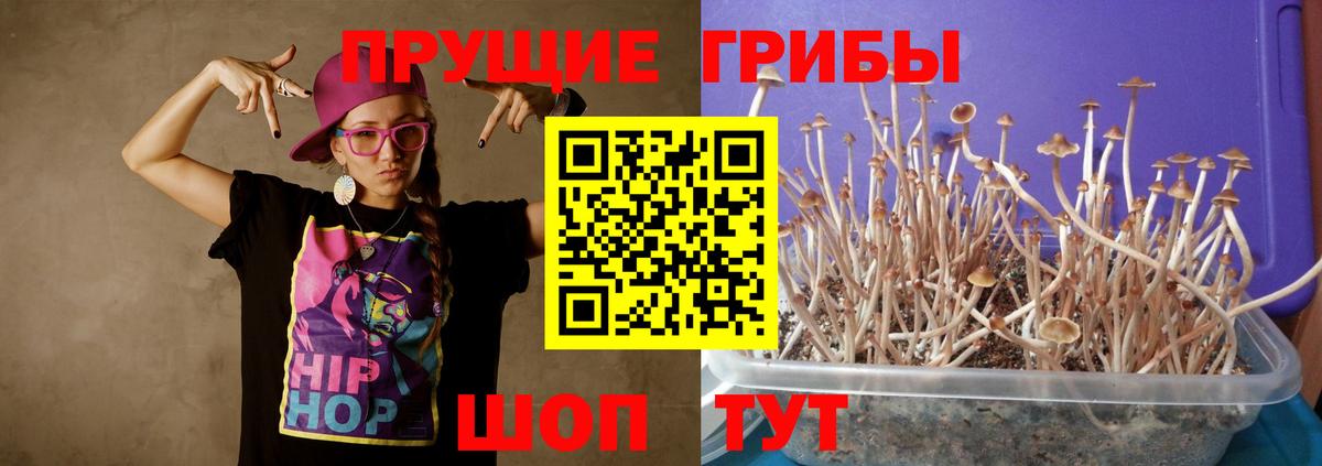 Галлюциногенные грибы ЛСД Большой Камень